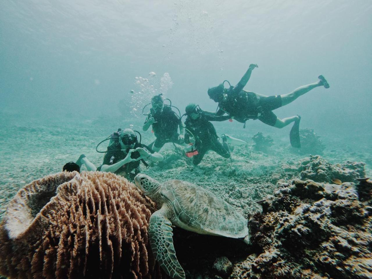 Diversia Diving Club & Bungalows Джили Трауанган Екстериор снимка